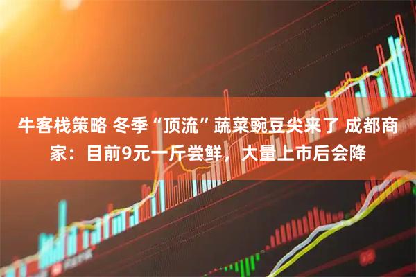 牛客栈策略 冬季“顶流”蔬菜豌豆尖来了 成都商家：目前9元一斤尝鲜，大量上市后会降