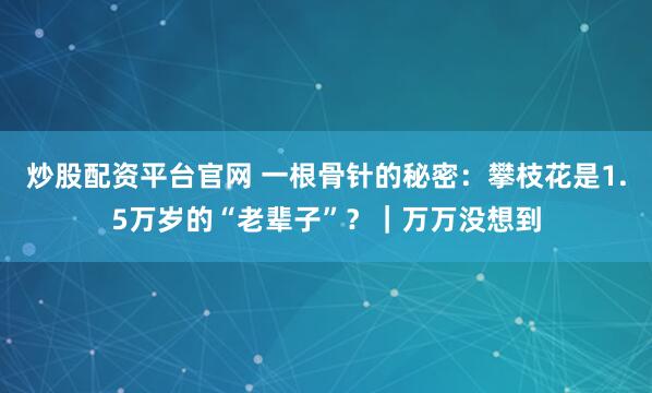 炒股配资平台官网 一根骨针的秘密：攀枝花是1.5万岁的“老辈子”？｜万万没想到