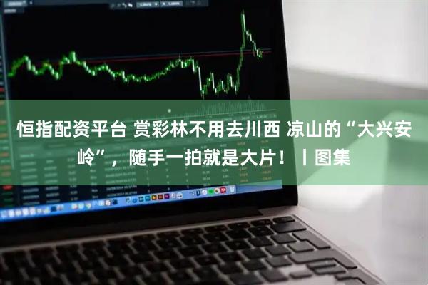 恒指配资平台 赏彩林不用去川西 凉山的“大兴安岭”，随手一拍就是大片！丨图集