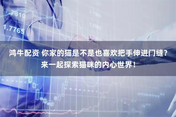 鸿牛配资 你家的猫是不是也喜欢把手伸进门缝？来一起探索猫咪的内心世界！